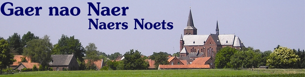 LOGO naersnoets.JPG